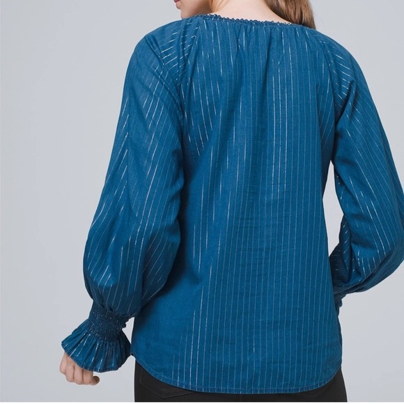 NWT! WHBM Blue and Silver Striped Chambray Long-Sleeve Shirt. Small - Picture 2 of 9